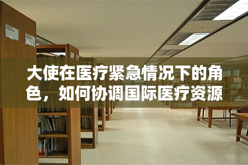 大使在医疗紧急情况下的角色，如何协调国际医疗资源？
