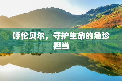 呼伦贝尔，守护生命的急诊担当
