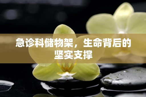 急诊科储物架，生命背后的坚实支撑