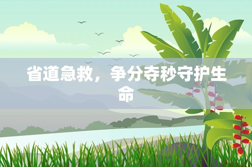 省道急救，争分夺秒守护生命