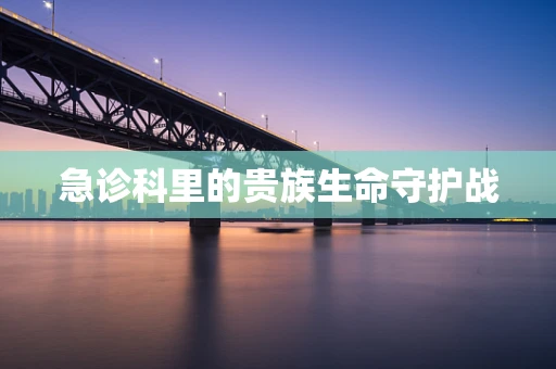 急诊科里的贵族生命守护战