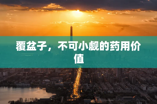 覆盆子，不可小觑的药用价值