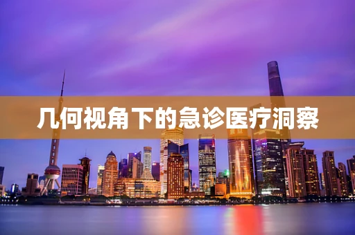 几何视角下的急诊医疗洞察