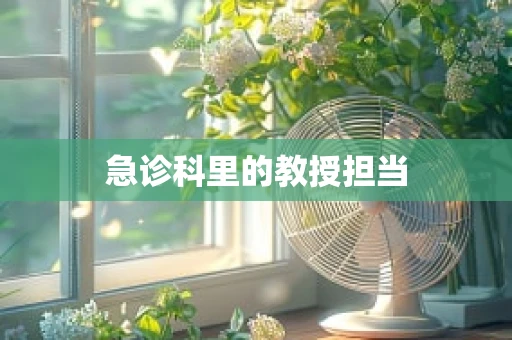 急诊科里的教授担当