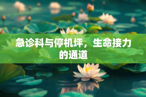 急诊科与停机坪，生命接力的通道