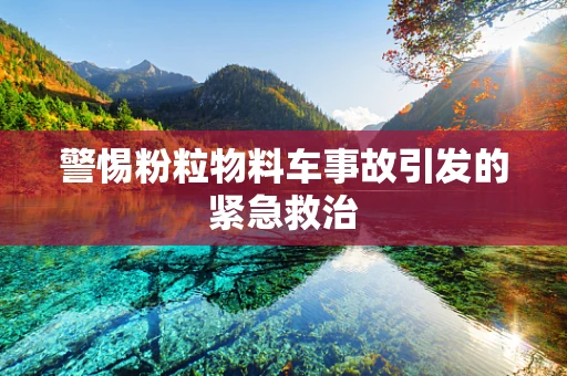警惕粉粒物料车事故引发的紧急救治