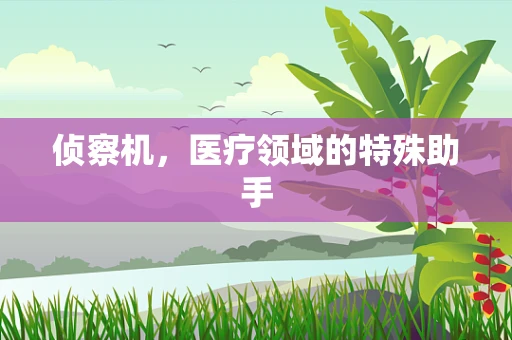 侦察机，医疗领域的特殊助手