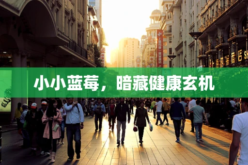 小小蓝莓，暗藏健康玄机