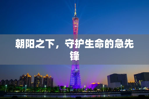 朝阳之下，守护生命的急先锋