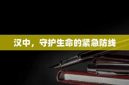 汉中，守护生命的紧急防线