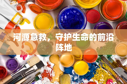 河源急救，守护生命的前沿阵地