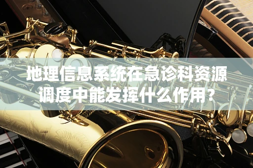 地理信息系统在急诊科资源调度中能发挥什么作用？
