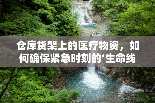 仓库货架上的医疗物资，如何确保紧急时刻的‘生命线’畅通无阻？