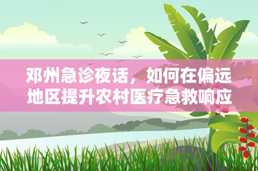 邓州急诊夜话，如何在偏远地区提升农村医疗急救响应速度？