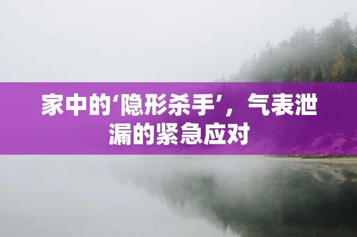 家中的‘隐形杀手’，气表泄漏的紧急应对