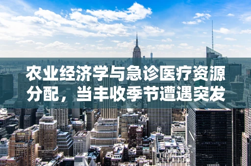 农业经济学与急诊医疗资源分配，当丰收季节遭遇突发疾病高峰
