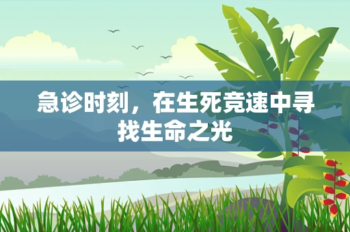 急诊时刻，在生死竞速中寻找生命之光