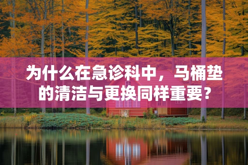 为什么在急诊科中，马桶垫的清洁与更换同样重要？