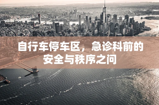 自行车停车区，急诊科前的安全与秩序之问