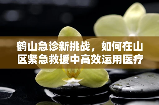 鹤山急诊新挑战，如何在山区紧急救援中高效运用医疗资源？