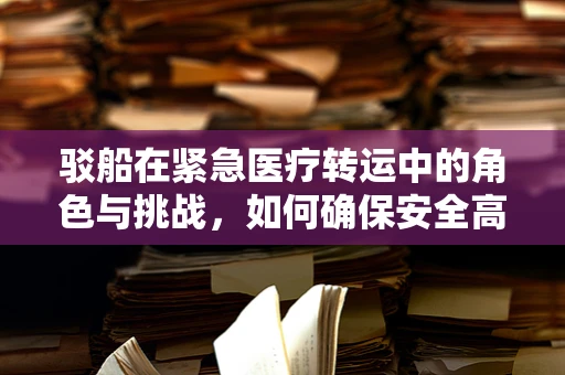 驳船在紧急医疗转运中的角色与挑战，如何确保安全高效的医疗驳运？