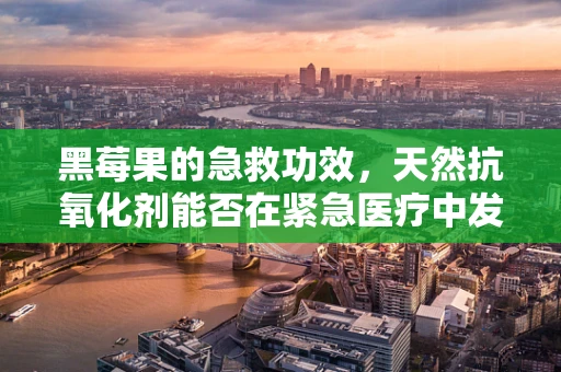 黑莓果的急救功效，天然抗氧化剂能否在紧急医疗中发挥作用？