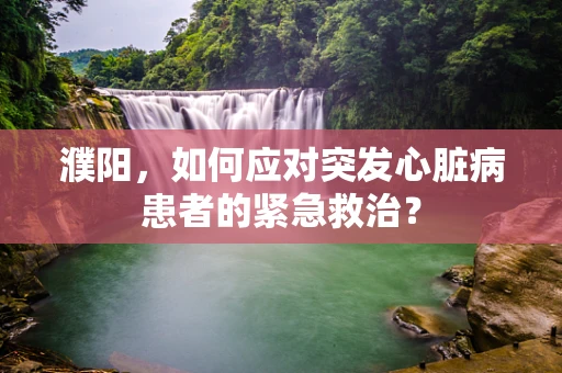 濮阳，如何应对突发心脏病患者的紧急救治？