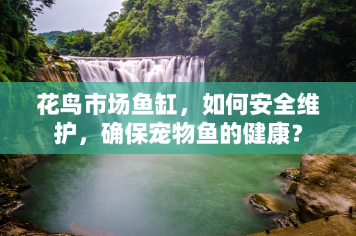 花鸟市场鱼缸，如何安全维护，确保宠物鱼的健康？