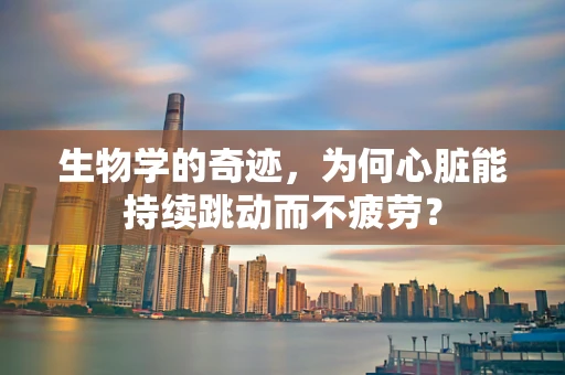 生物学的奇迹，为何心脏能持续跳动而不疲劳？