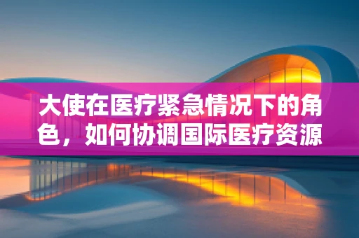大使在医疗紧急情况下的角色，如何协调国际医疗资源？