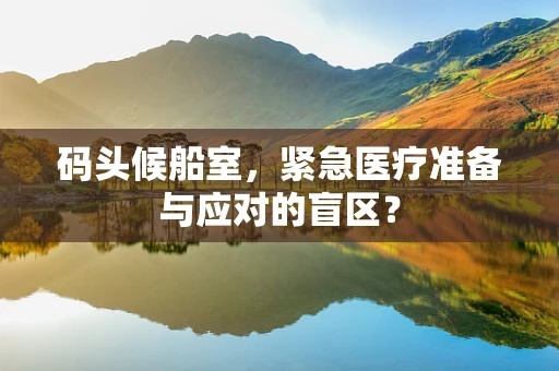 码头候船室，紧急医疗准备与应对的盲区？