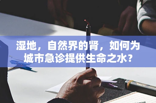 湿地，自然界的肾，如何为城市急诊提供生命之水？