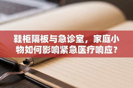 鞋柜隔板与急诊室，家庭小物如何影响紧急医疗响应？