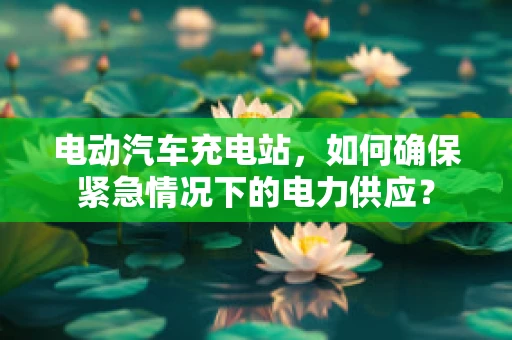 电动汽车充电站，如何确保紧急情况下的电力供应？