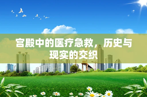 宫殿中的医疗急救，历史与现实的交织