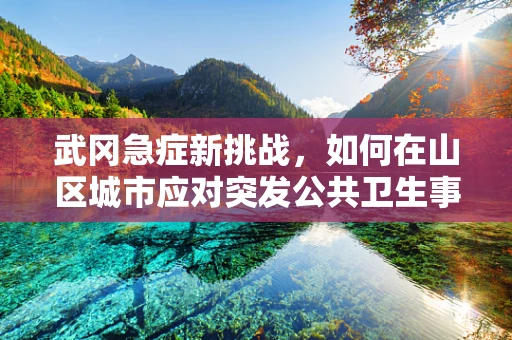 武冈急症新挑战，如何在山区城市应对突发公共卫生事件？