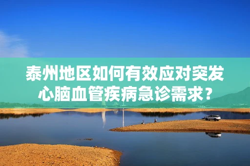 泰州地区如何有效应对突发心脑血管疾病急诊需求？