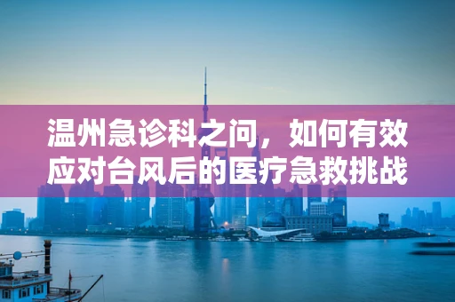 温州急诊科之问，如何有效应对台风后的医疗急救挑战？