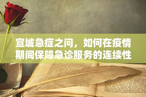 宣城急症之问，如何在疫情期间保障急诊服务的连续性？