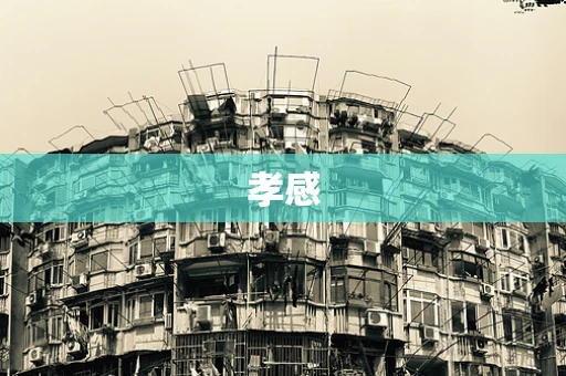 孝感