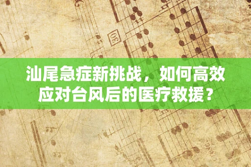 汕尾急症新挑战，如何高效应对台风后的医疗救援？