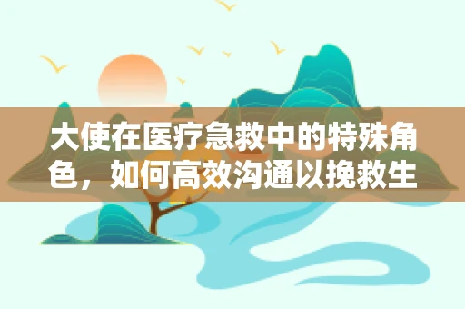大使在医疗急救中的特殊角色，如何高效沟通以挽救生命？