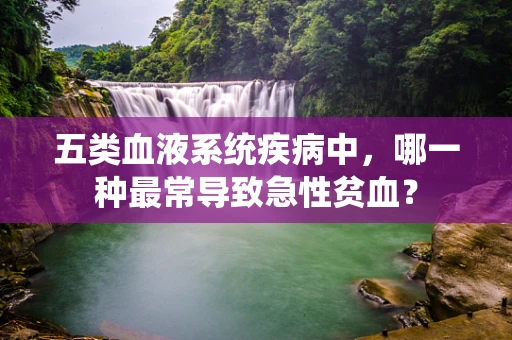 五类血液系统疾病中，哪一种最常导致急性贫血？