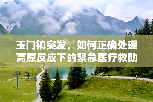 玉门镇突发，如何正确处理高原反应下的紧急医疗救助？