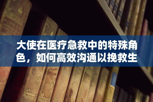 大使在医疗急救中的特殊角色，如何高效沟通以挽救生命？