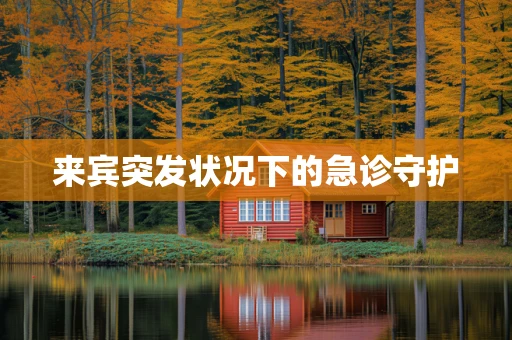 来宾突发状况下的急诊守护