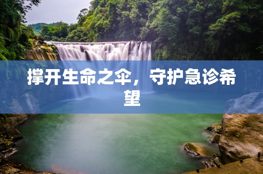 撑开生命之伞，守护急诊希望