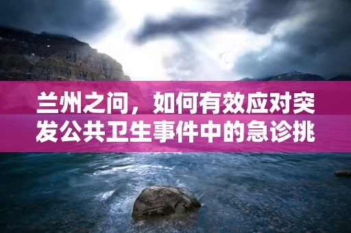 兰州之问，如何有效应对突发公共卫生事件中的急诊挑战？