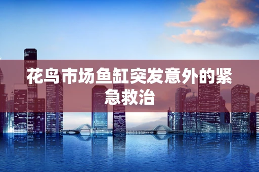 花鸟市场鱼缸突发意外的紧急救治