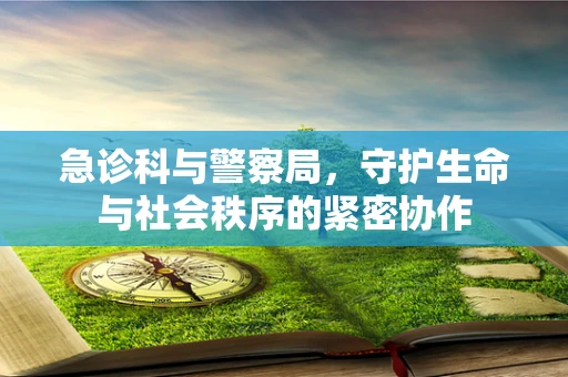 急诊科与警察局，守护生命与社会秩序的紧密协作